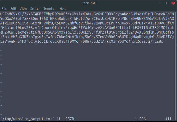 Saving Ciphertext to File