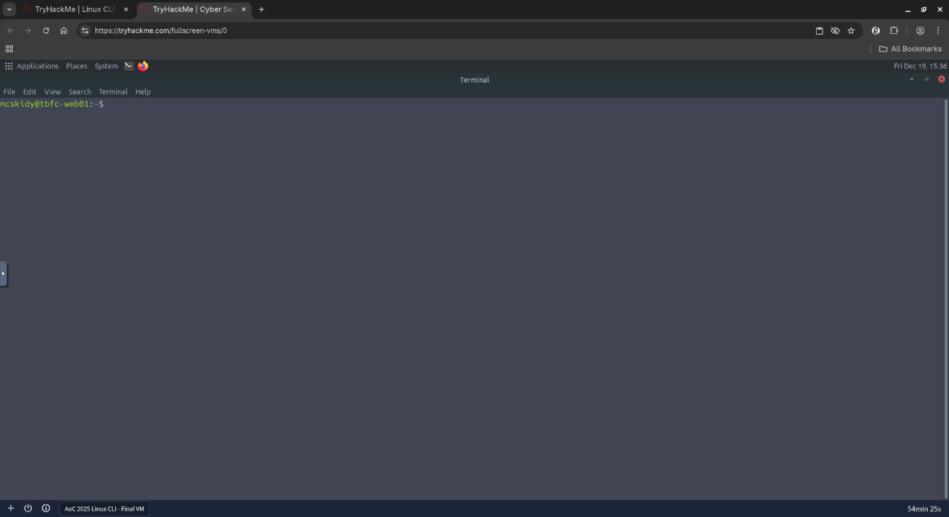 Split View and Terminal Startup